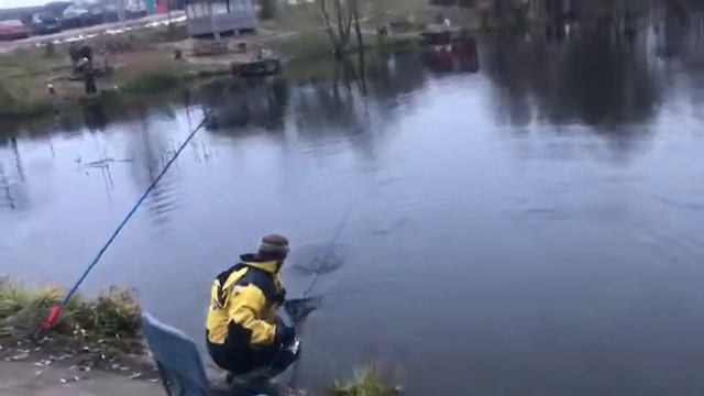 01 11 2018 РК Фиш'ка Данилово приветствует Вас. Поклевка форельки на резинового червячка. смотреть онлайн