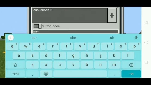 All Secret Blocks and Items in Minecraft! смотреть онлайн