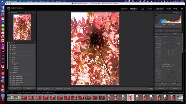 How to setup Lightroom Classic shortcuts via Elgato Streamdeck смотреть онлайн