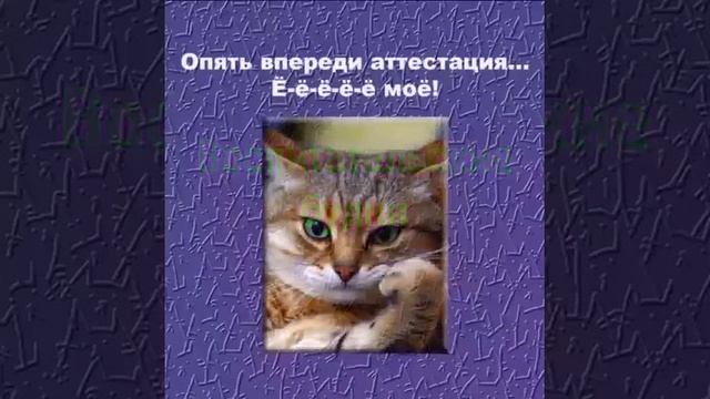 Кошачий сад! смотреть онлайн