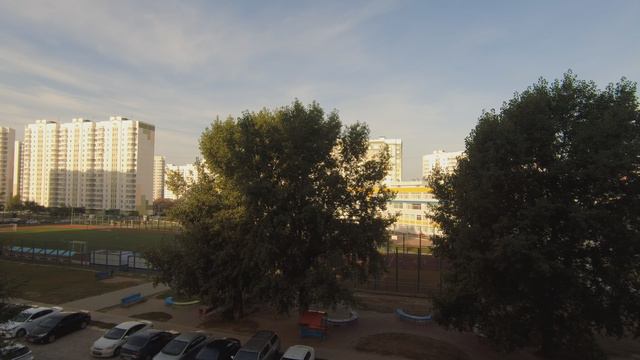 Везде путаются, везде лазят... . смотреть онлайн