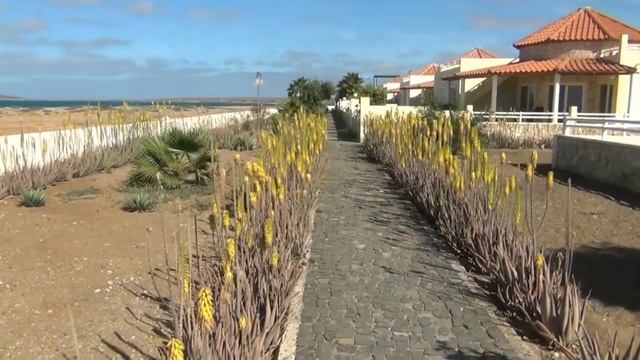 Murdeira, Sal Island