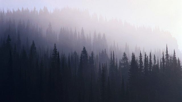 От думскроллинга - возврат к себе. Практика борьбы со стрессом. смотреть онлайн