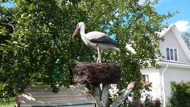 ОГРОМНАЯ РАДОСТЬ МОЕЙ СЕМЬИ!!!!!!!