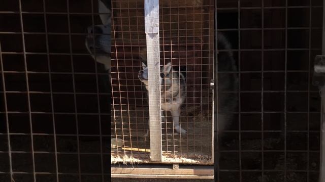 простота смотреть онлайн