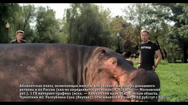 «Билайн», Тариф «Все включено» смотреть онлайн