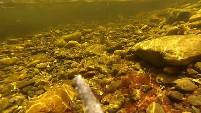 Хариус на реке Большая Белая смотреть онлайн