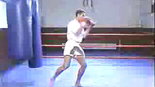Rob Kaman   Muay Thai Kickboxing Techniques Vol 1   Bag Training Part 2