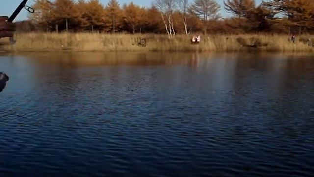 Рыбалка Сахалин смотреть онлайн