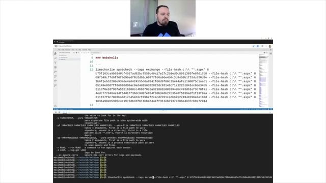 SpotChecking for Indicators of Compromise (IoC) with LimaCharlie смотреть онлайн