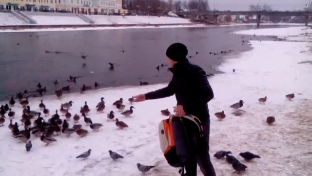 Ципа кормит уток смотреть онлайн