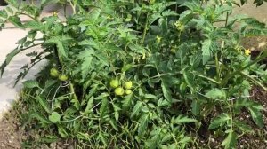 Электрогрядка своими руками #своимируками #handmade