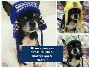 Шапка ушанка для собачки "Мультяшка" Мастер класс 1 часть.