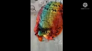 Все одомашненные снюсоеды