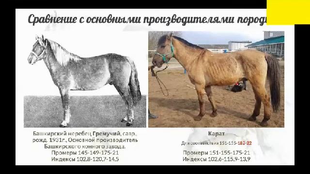 Занятие №  2 часть 9  Описание Карата