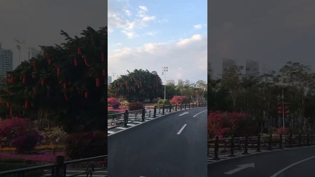 Город Санья.Китай смотреть онлайн