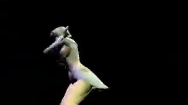 Lineage 2 lElf and Dark Elf dance video