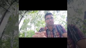 Томат Челнок/Чудо томаты/Я такого еще не видел