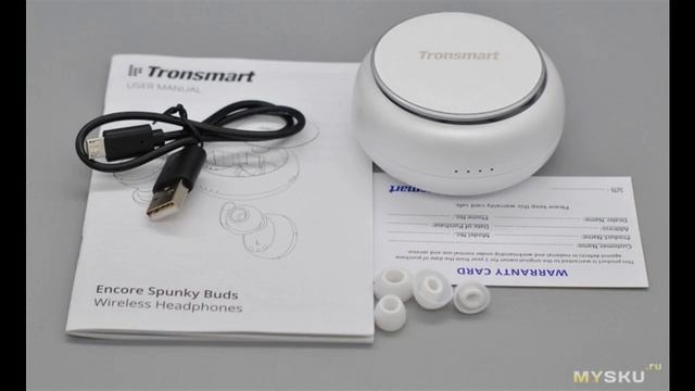 Bluetooth наушники Tronsmart Encore Spunky Buds TWS | #Обзор смотреть онлайн
