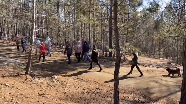 Акция "10000 шагов к жизни" смотреть онлайн