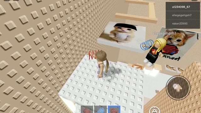 котики я заходите на карту кофейная башня я там вас буду ждать в 14:00