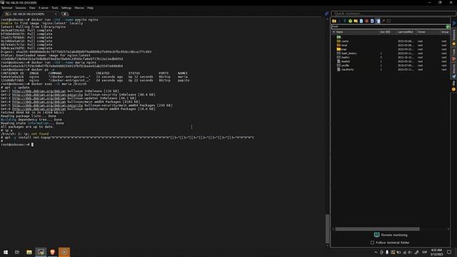 Comandos Básicos para la Gestión de Contenedores en Docker (Parte #1) смотреть онлайн
