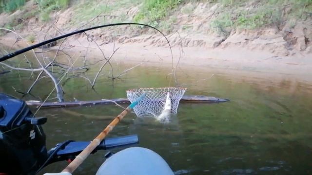 Рыбалка на Ветлуге. Ночная рыбалка. Рыбалка на щуку. Улов смотреть онлайн