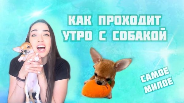 Утро с собакой ?