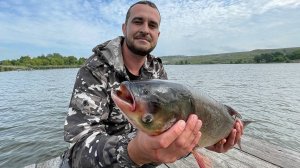 Рыбалка с ночевкой!!! Попали на клев карпа и толстолобика. Сало на костре
