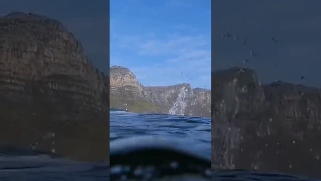 Ну вот и мы умудрены ... читает: Евгения Назаркина автор: Лариса Миллер смотреть онлайн