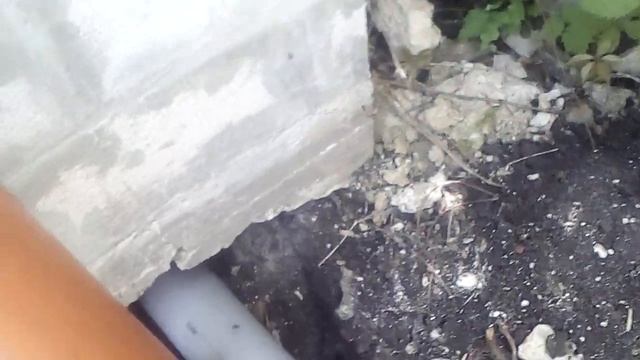 простой тулет на дачу с высоким унитазом смотреть онлайн