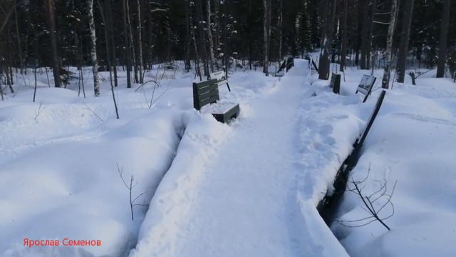 Костомукшский заповедник зимой Ярослав Семенов смотреть онлайн