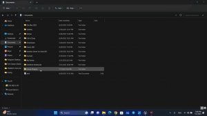 Unhandled Exception: EXCEPTION_ACCESS_VIOLATION reading address 0x0000000000000008