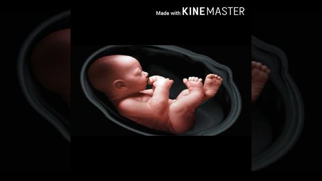 Bengali kobita / একটি ভ্রুনের মৃত্যুকথা /Subrata Mitra/ সুব্রত মিত্র / Recitted by titli смотреть онлайн