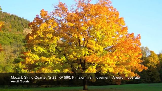 Mozart, String Quartet Nr.23, KV 590, F major, first movement, Allegro moderato, Amati Quartet