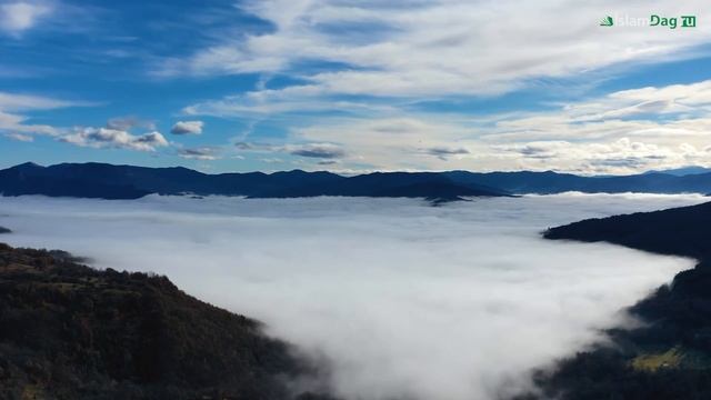 Кто может насладиться райскими садами на Земле смотреть онлайн