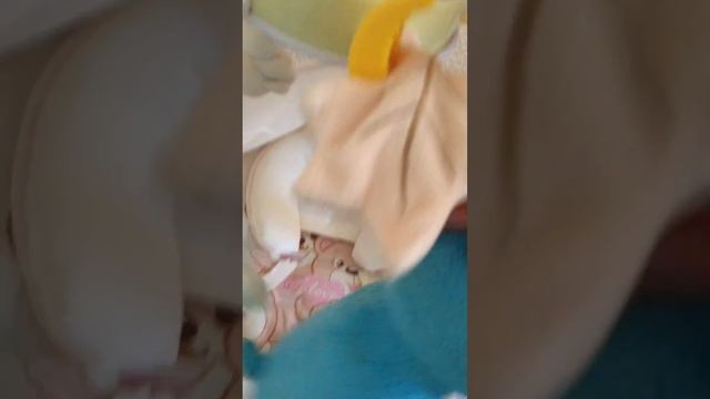 Mioo укачивающий центр смотреть онлайн