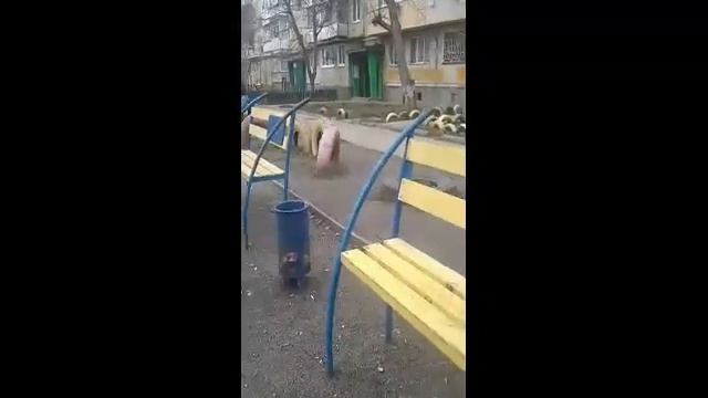 Скрытая камера 4 часть 1 половина смотреть онлайн