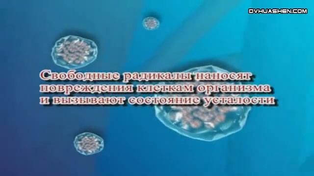 Зеленый чай с селеном смотреть онлайн
