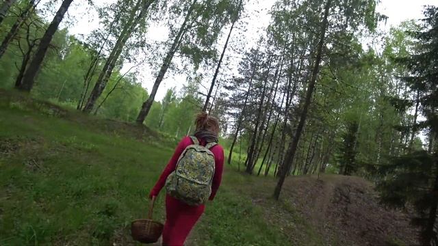 Карьер в Кузьмолово. 31 мая 2021 #лес #природа #озера #карьеры #поход #Ленобласть #красота #семья смотреть онлайн