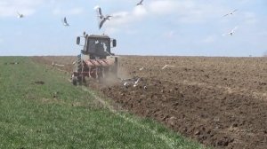 МТЗ 1221 пашет 4-корпусным оборотным плугом