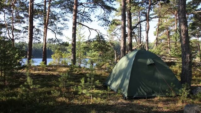 Это не твой ребёнок! - услышав это, Николай похолодел. Мужчина решает втайне сделать тест ДНК... смотреть онлайн
