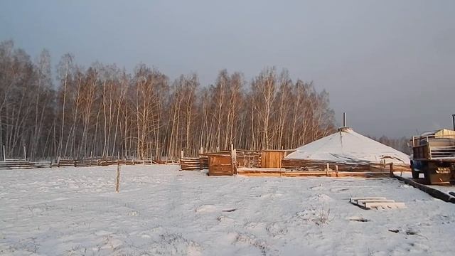 МАЙСКИЙ СНЕГОПАД.  БИО-ФЕРМА МАНГАЛИЦА