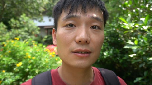 My Chinese social media got suspended｜Trip to Lavender Cottage in Taiwan｜台灣趴趴造｜微博被禁言｜薰衣草森林 смотреть онлайн