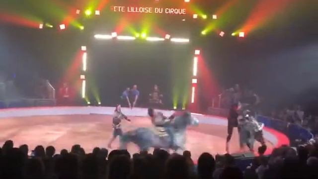 Cossack act смотреть онлайн