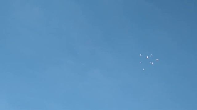 Остаться в живых. смотреть онлайн