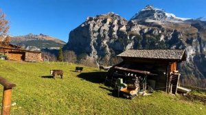 ГИММЕЛЬВАЛЬД - САМЫЕ УДИВИТЕЛЬНЫЕ ДЕРЕВНИ В ШВЕЙЦАРИИ - УНИКАЛЬНАЯ ТРАДИЦИОННАЯ ШВЕЙЦАРСКАЯ ДЕРЕВНЯ