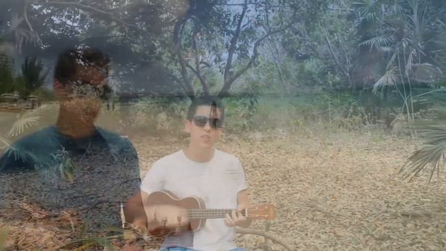 We don´t believe what´s on T V - Ukulele Cover - Twenty One Pilots смотреть онлайн