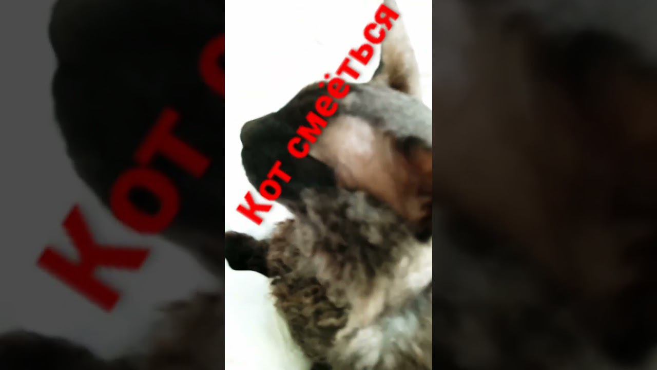 13 марта 2023 г. смотреть онлайн