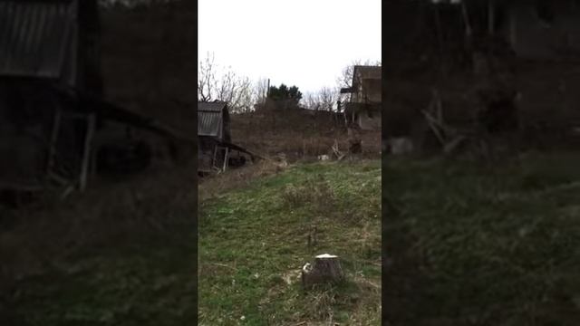 Обзор дома в Жмеринке за 30 000$